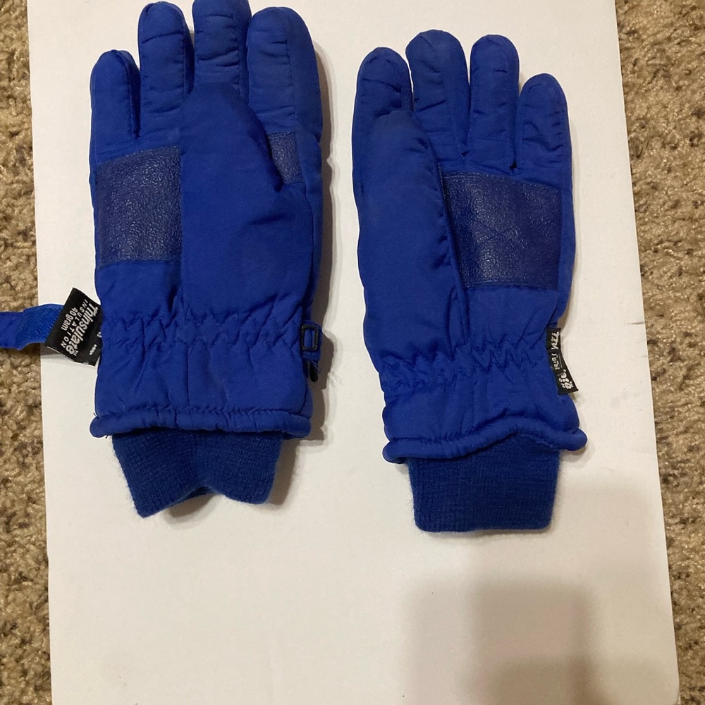 Blue Gloves